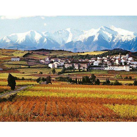 Entre Mer Et Montagne Montner 외부 사진