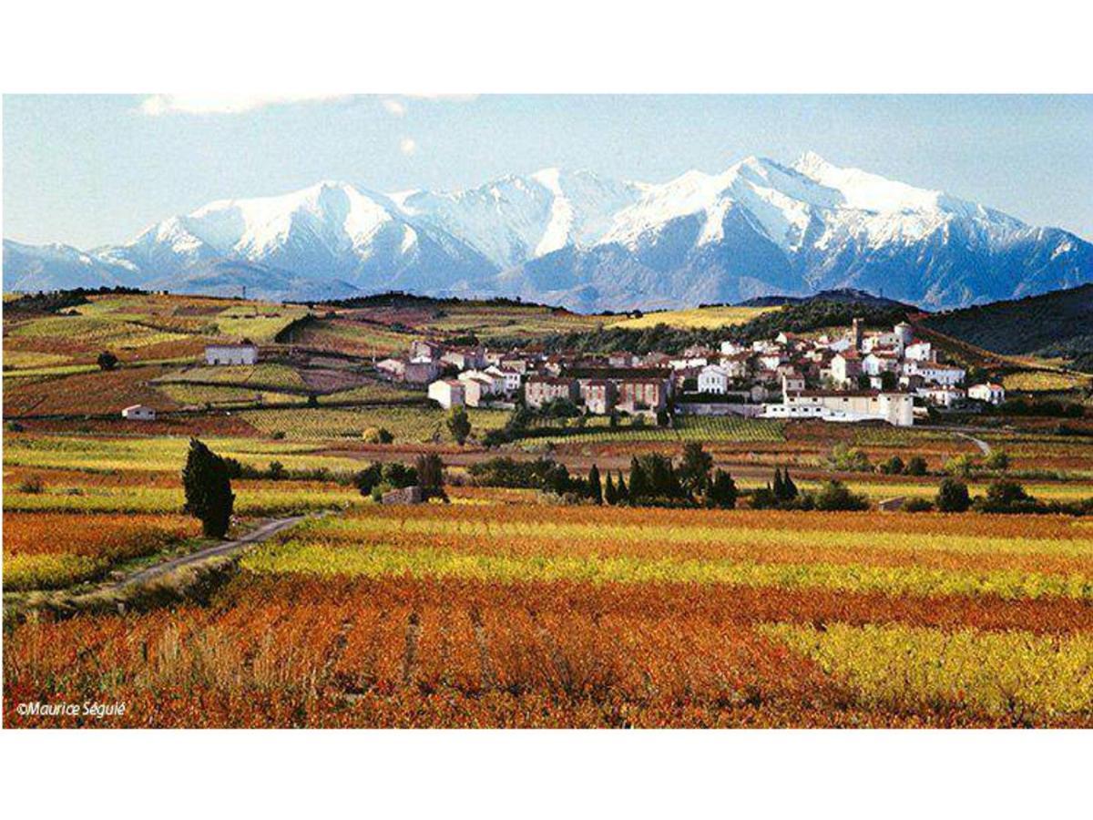Entre Mer Et Montagne Montner 외부 사진